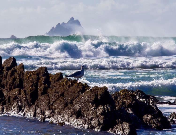 Skellig Port Accomodation - Sea View Rooms Ensuite Portmagee Esterno foto